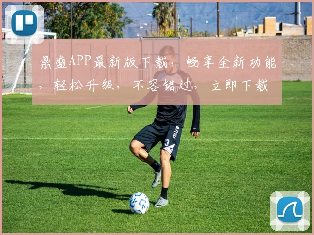 鼎盛APP最新版下载，畅享全新功能，轻松升级，不容错过，立即下载，体验极致