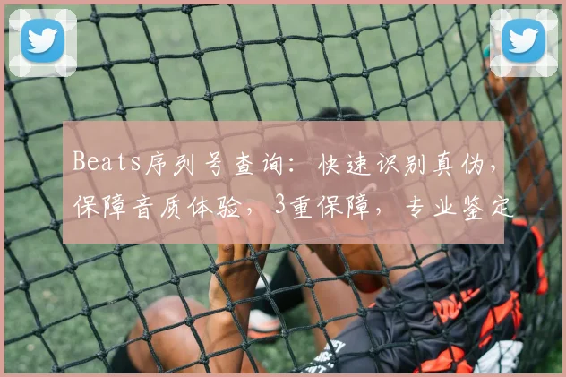 Beats序列号查询：快速识别真伪，保障音质体验，3重保障，专业鉴定，品质生活。