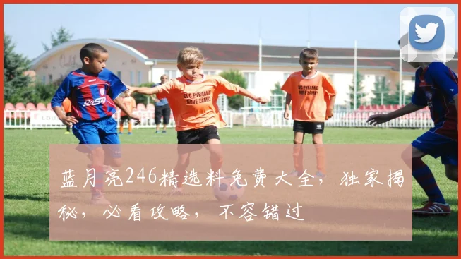 蓝月亮246精选料免费大全，独家揭秘，必看攻略，不容错过