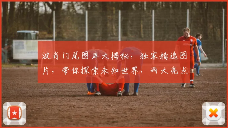 波肖门尾图库大揭秘，独家精选图片，带你探索未知世界，两大亮点不容错过