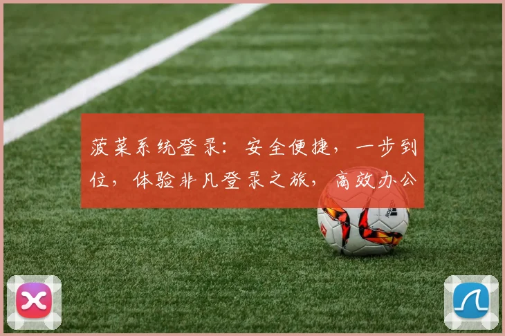 菠菜系统登录：安全便捷，一步到位，体验非凡登录之旅，高效办公从菜开始
