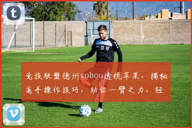 竞技联盟德州sohoo透视苹果，揭秘高手操作技巧，助你一臂之力，轻松战胜对手